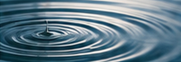 Ripples across water